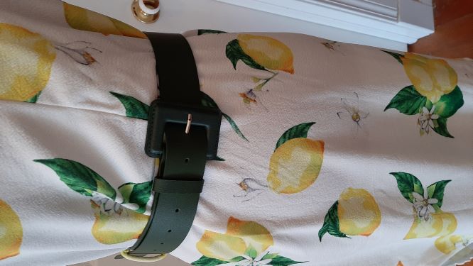 Dark Green Buckle Belt