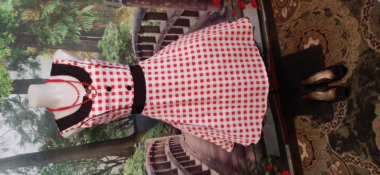 ONE OF's - Retro Red and White Gingham Swing Dress