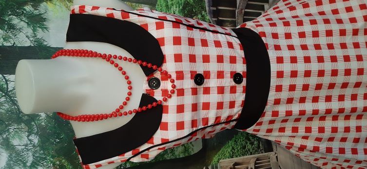 ONE OF's - Retro Red and White Gingham Swing Dress