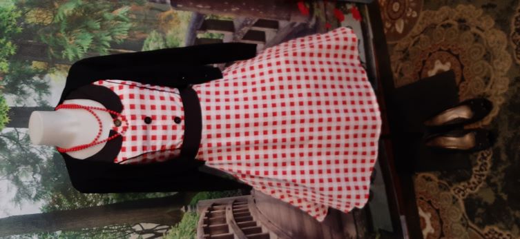 ONE OF's - Retro Red and White Gingham Swing Dress