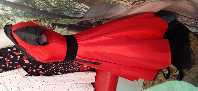 Retro Red with Black Trim Waitress Style Swing Dress