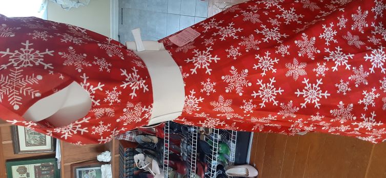 Retro Red Snowflake Swing dress