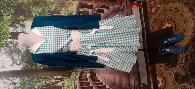 Retro Teal Gingham Swing Dress