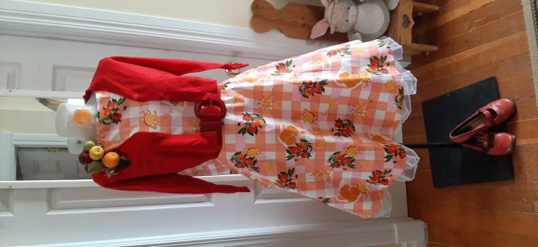 Orange Citrus Swing Dress