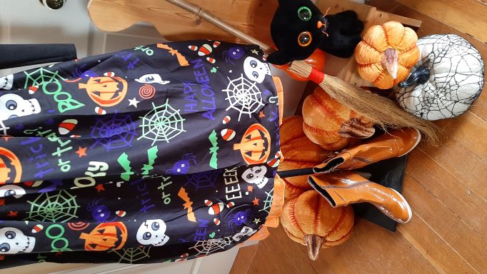 Retro Halloween Pumpkin Long Sleeved Swing Dress