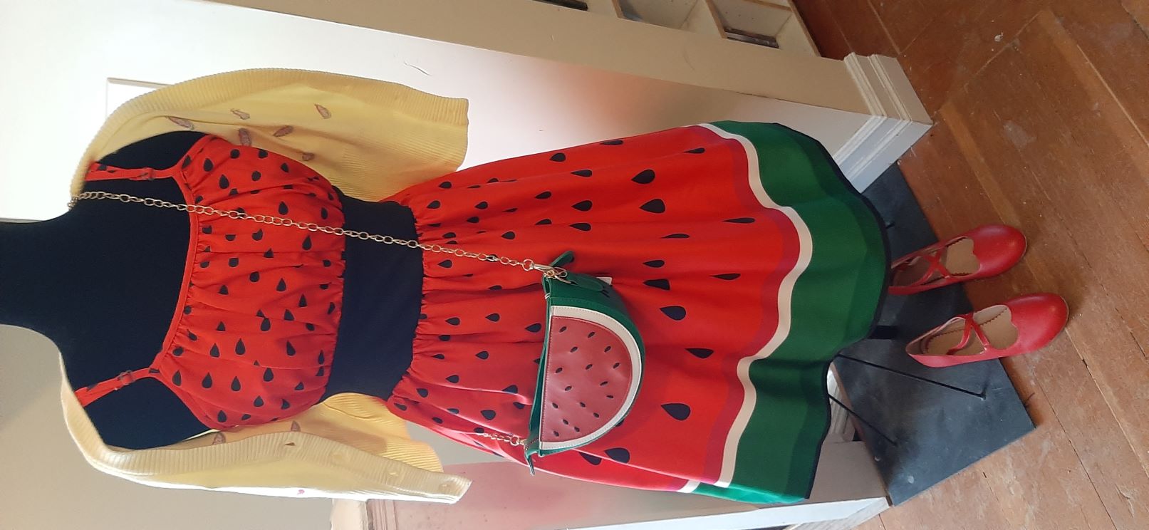 Retro Watermelon Swing Dress