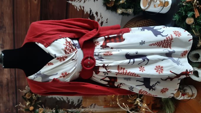 Xmas Deer Swing Dress