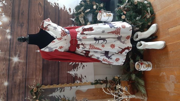 Xmas Deer Swing Dress