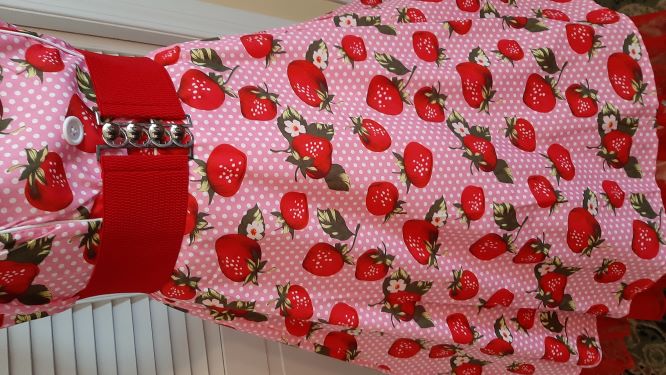 Strawberry and Pink Swing Dress 