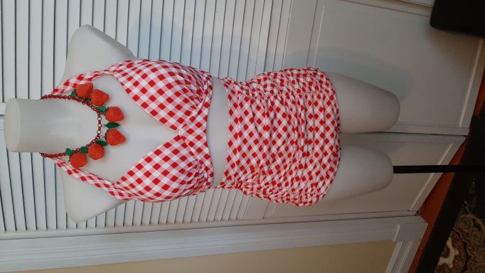 ONE OF's - Retro Red Gingham High Waisted 2 Piece Swimsuit