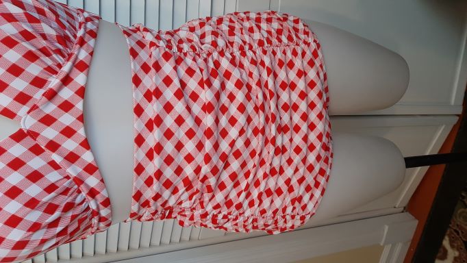 ONE OF's - Retro Red Gingham High Waisted 2 Piece Swimsuit