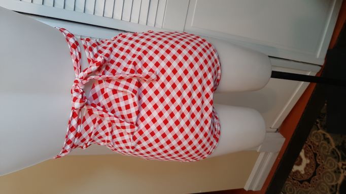 ONE OF's - Retro Red Gingham High Waisted 2 Piece Swimsuit