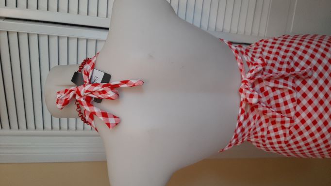 ONE OF's - Retro Red Gingham High Waisted 2 Piece Swimsuit