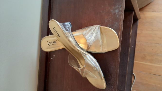 Gold & Clear Plastic Wedge Shoes