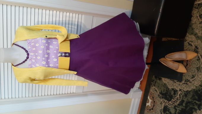 Retro Purple Solid Coloured Swing Skirt