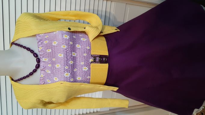 Retro Purple Solid Coloured Swing Skirt