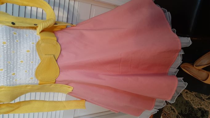 Retro Light Pink Solid Coloured Swing Skirt