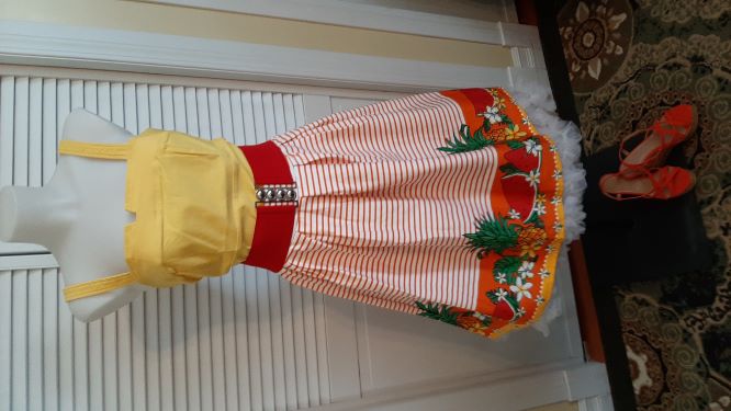 Tropical Fruit Bordered Swing Skirt