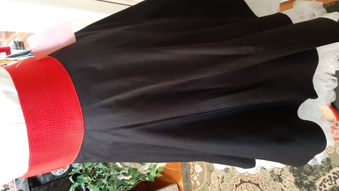 Black Solid Coloured Swing Skirt