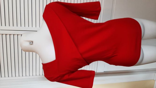 Retro Red Slant collar Pin Up Top